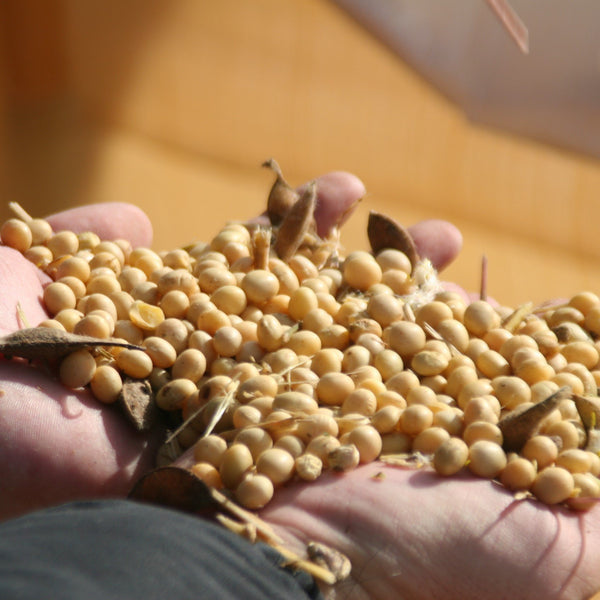 Adachi Jozo Saishikomi Shoyu Twice-Brewed Rich Japanese Soy Sauce 300ml