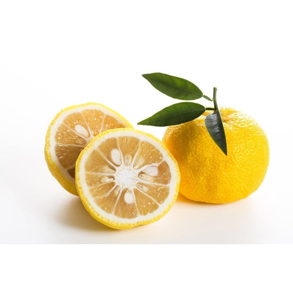 Daitoku 100% Natural Yuzu Ponzu Sauce Citrus Umami Seasoning 500ml