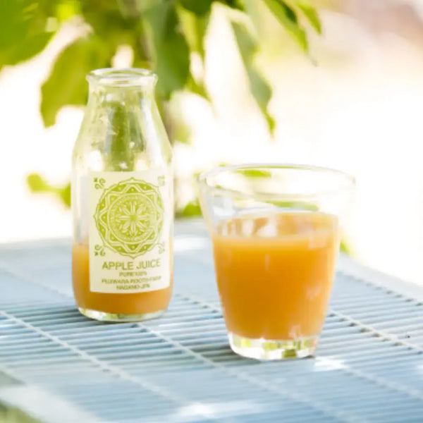 Fujiwara Roots Farm Pure Natural Nagano Apple Juice 180ml