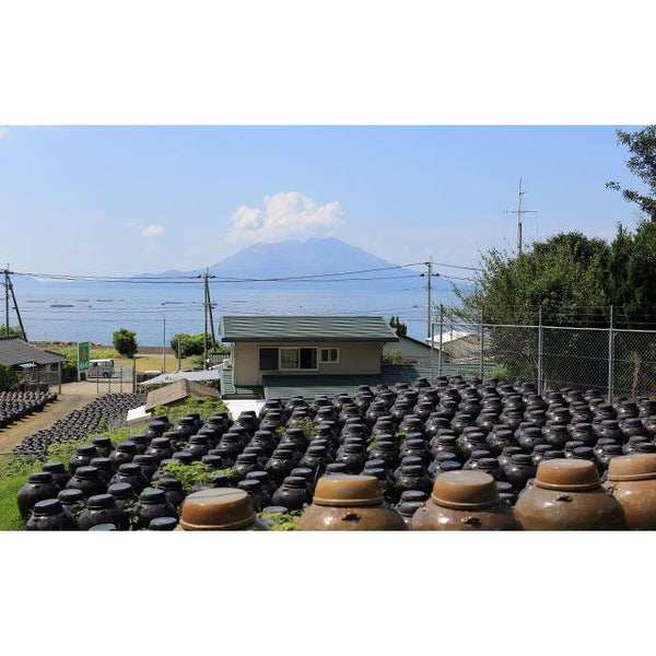 Fukuyamasu Aged Black Vinegar with Japanese Apple Juice 500ml