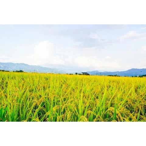 Gishi Namamaru Mochi Dried Japanese Round Rice Cakes 400g