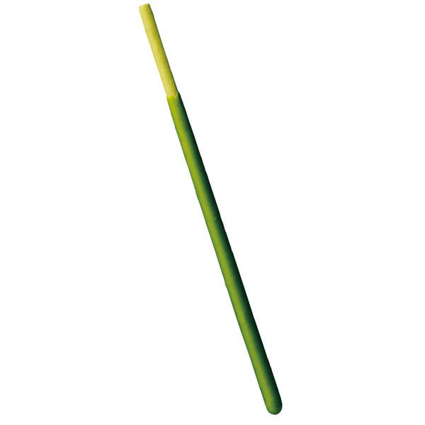 Matcha Pocky Green Tea Pocky Sticks (Pack of 3)