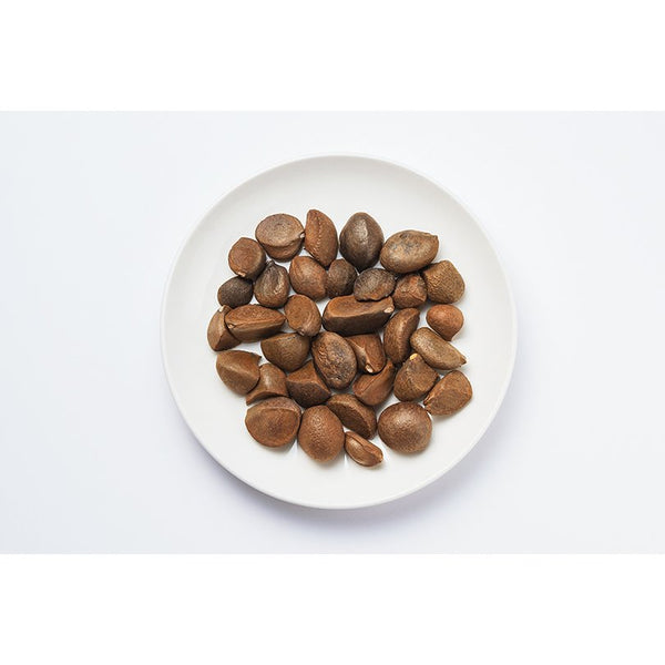 Horiuchi Tsubaki Oil Pure Versatile Camellia Oil from Kyushu 100g