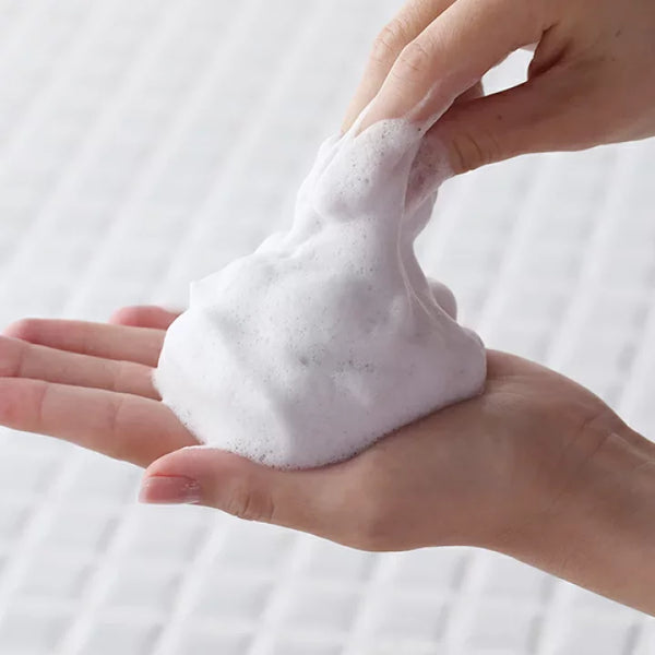 Ishizawa Lab Toumei Shirohada Skin Brightening Foaming Face Wash 100g