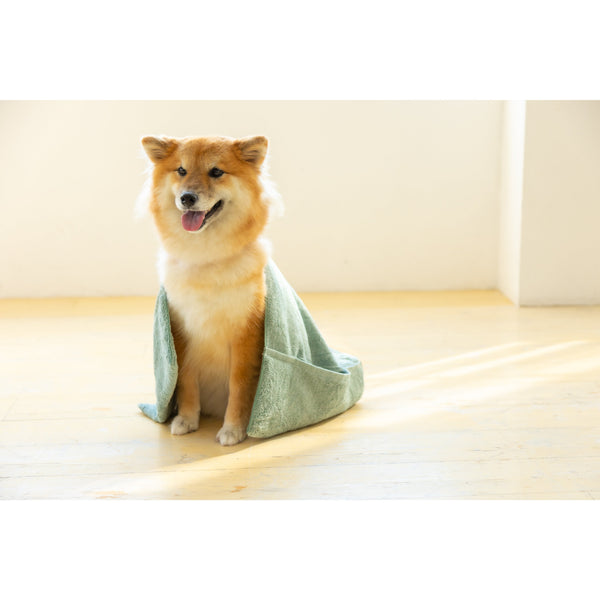 Jogan Pet Towel Super Absorbant Bath Towel for Pets Green 34×78cm
