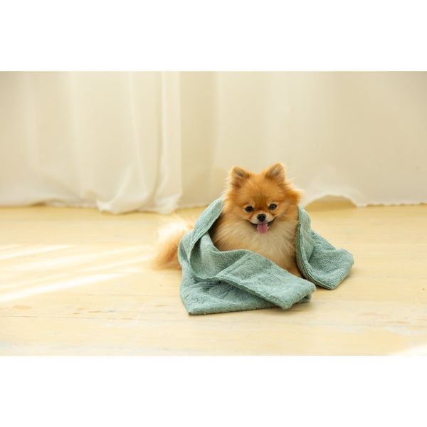 Jogan Pet Towel Super Absorbant Bath Towel for Pets Green 34×78cm