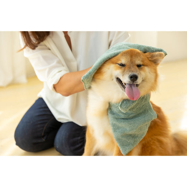 Jogan Pet Towel Super Absorbant Bath Towel for Pets Green 34×78cm