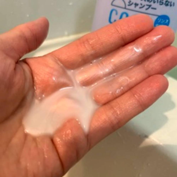 Merit 2-in-1 No-Rinse Shampoo Cool Type for Dandruff 480ml Pump Bottle