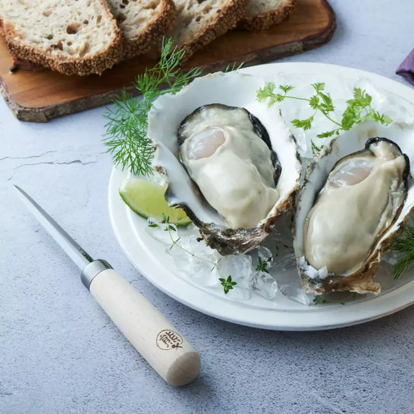 Kumagai Handmade Wood Handle Oyster Shucking Knife 10cm