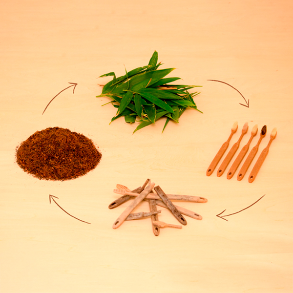 Meguru Eco Friendly Vegan Bamboo Toothbrush Regular Bristle