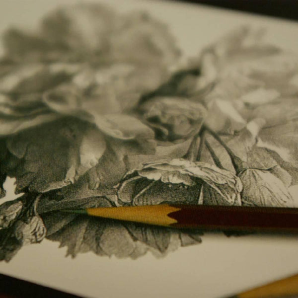 uni Mitsubishi Star Japanese Graphite Pencils 4B 12 Pieces