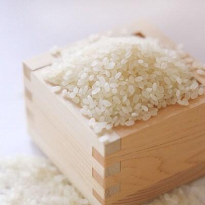 Organic Koshihikari Hakumai Rice Japanese White Rice 2kg