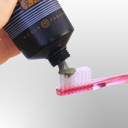 World Paradise Charcoal Toothpaste for Bad Breath 110ml