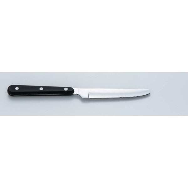 Seki Kanetsugu Japanese Steak Knife Stainless Steel ST-500