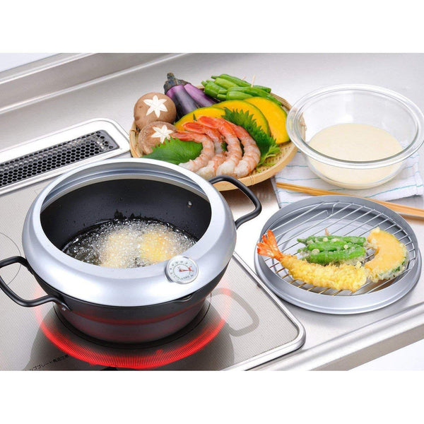 Wahei Freiz Induction Iron Deep Fryer Pot With Lid And Oil Drain Rack 24cm