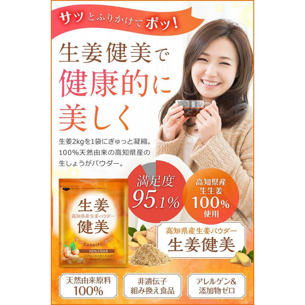 Shoga Kenbi Japanese Ground Ginger Powder 100g