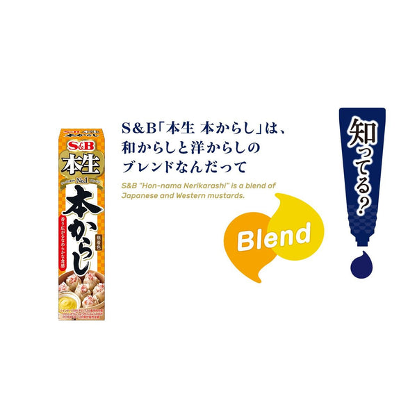 S&B Foods Karashi Sauce Japanese Mustard Paste Tube 43g