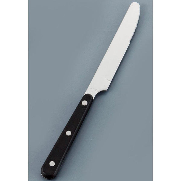 Seki Kanetsugu Japanese Steak Knife Stainless Steel ST-500