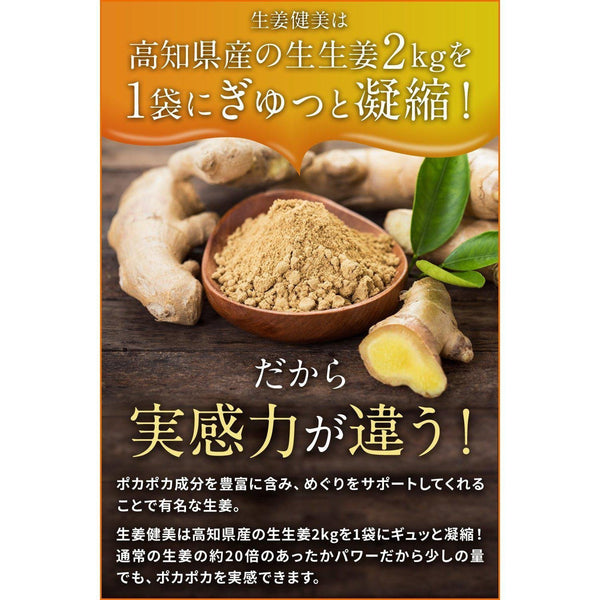 Shoga Kenbi Japanese Ground Ginger Powder 100g