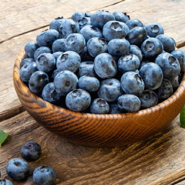 Shinshu Nagano Blueberry Jam All-Fruit Spread No Added Sugar 240g