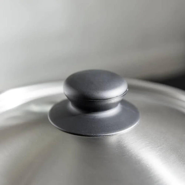 Sori Yanagi Two Handled Matte Finish Stainless Pot With Lid 3.8L