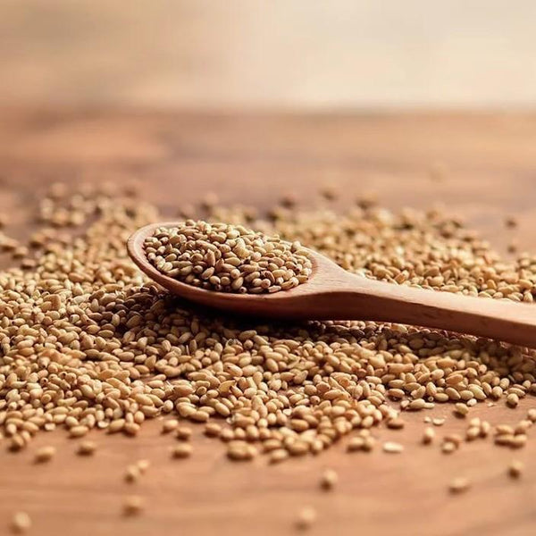 Wadaman Certified Organic Roasted White Sesame Seeds 50g