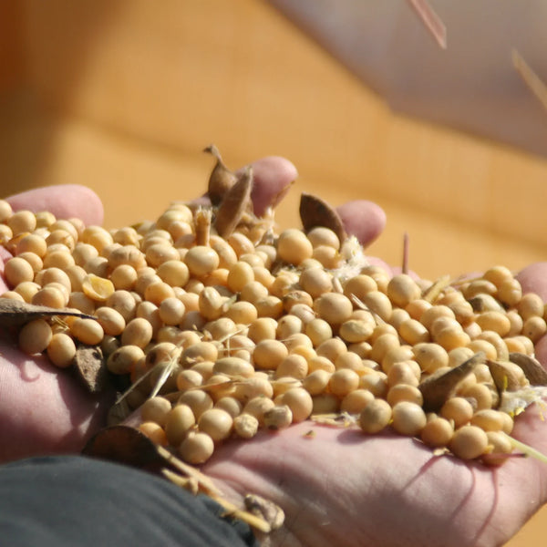 Adachi Jozo Aged Koji Rice Miso Naturally Fermented Miso Paste 500g