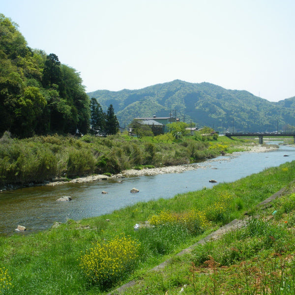 Adachi Jozo Kuromame Shoyu 1-Year Aged Tamba Black Soybean Soy Sauce 300ml