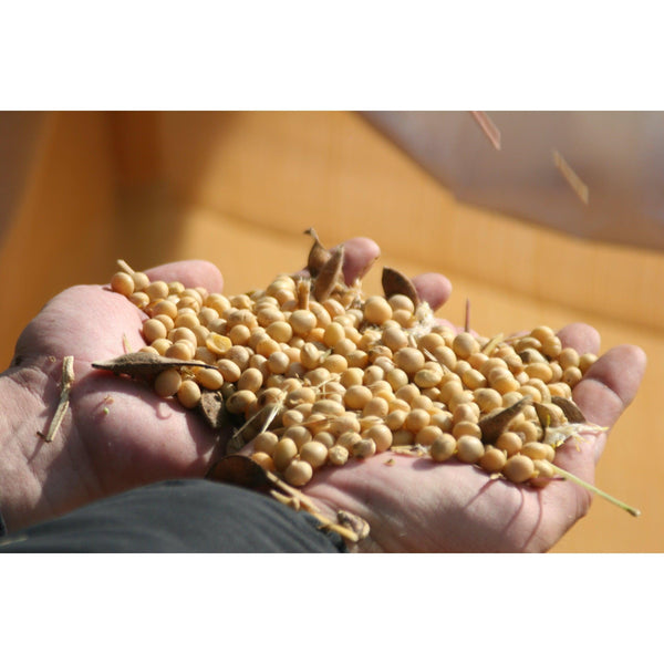 Adachi Jozo Naturally Brewed Organic Miso Paste 450g