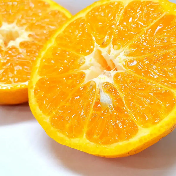 Chikyubatake Organic Handmade Ponkan Citrus Marmalade Jam 140g