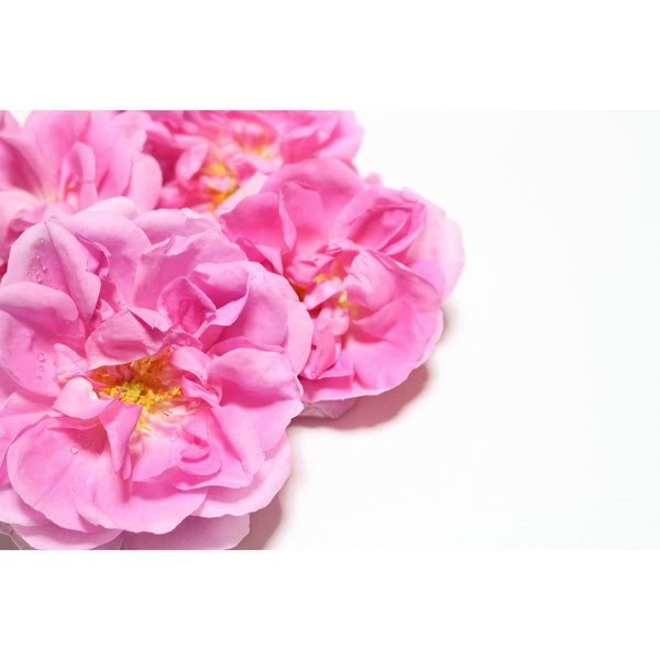 DHC Fragrant Bulgarian Rose Body Odor Supplement 40 Soft Capsules (For 20 Days)