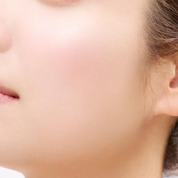 Etvos Mineral Pressed Cheek Two-Tone Blush Palette 4.5g