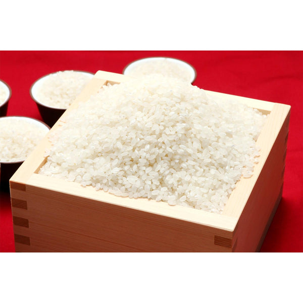 Gishi Mochiko Flour Japanese Glutinous Rice Flour 250g