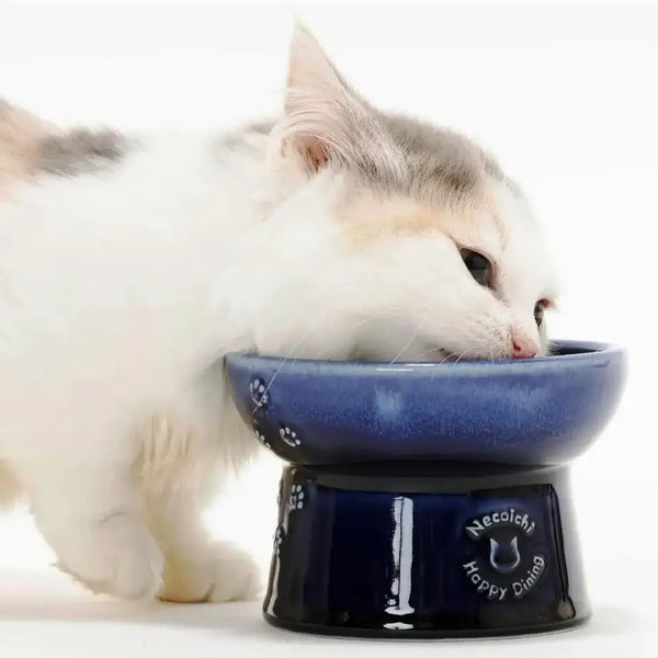 Handcrafted-Blue-Porcelain-Elevated-Cat-Food-Bowl-Paw-Prints-2-2026-04-28T06:36:58.994Z.webp