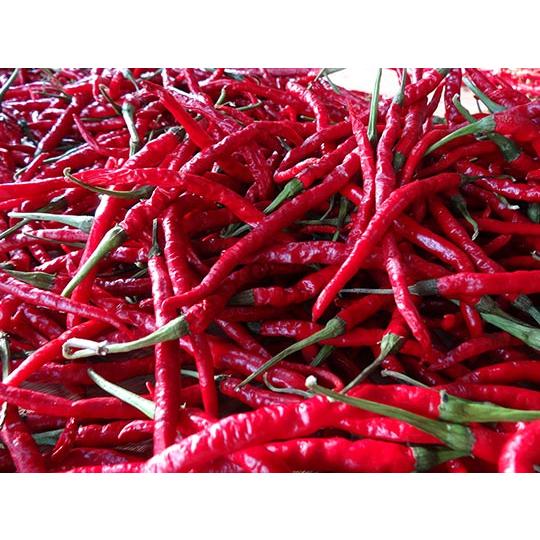 Imakawa Red Chili Pepper Spicy Vinegar Hot and Sour Seasoning 150m