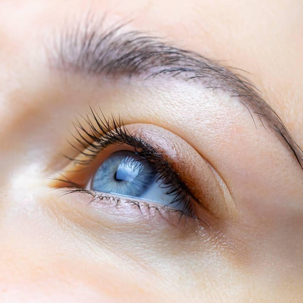 Isehan Kiss Me Heroine Make Smooth Liquid Eyeliner Bitter Brown