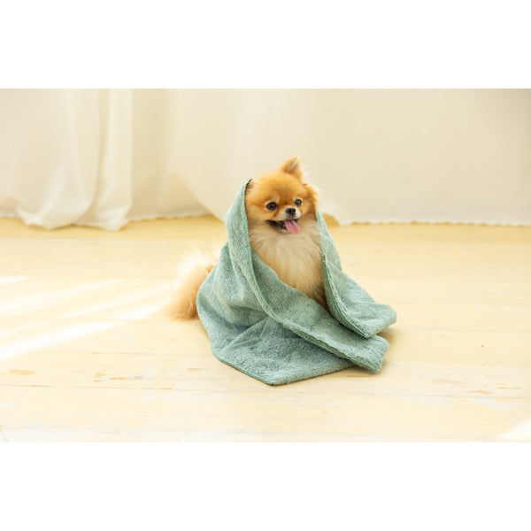 Jogan Pet Towel Super Absorbant Bath Towel for Pets Green 34×78cm