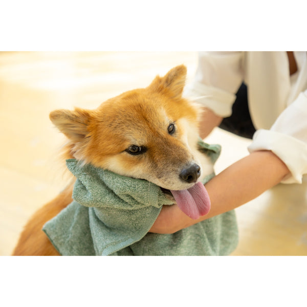 Jogan Pet Towel Super Absorbant Bath Towel for Pets Green 34×78cm