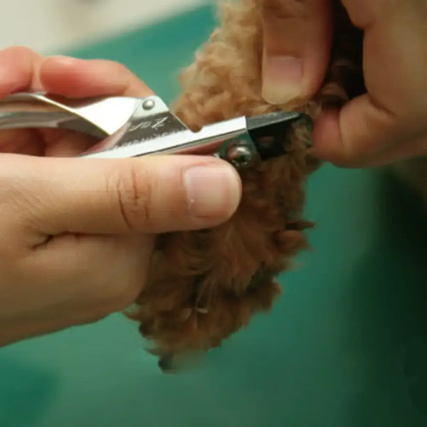 K-pro-Pet-Zan-Nail-Clipper-Guillotine-Trimmer-For-Large-Dogs-2-2026-03-23T08:16:46.352Z.webp