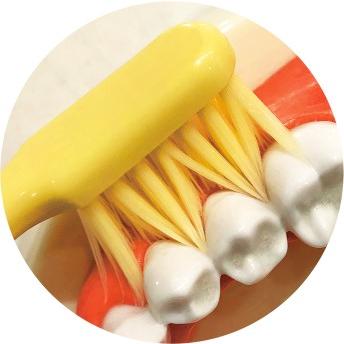 Life Range Narrow Head Toothbrush Ultra Fine High Density Medium Bristles