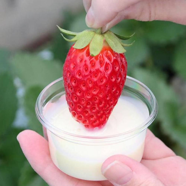 Megmilk Japan Hokkaido Condensed Milk Tube 480g