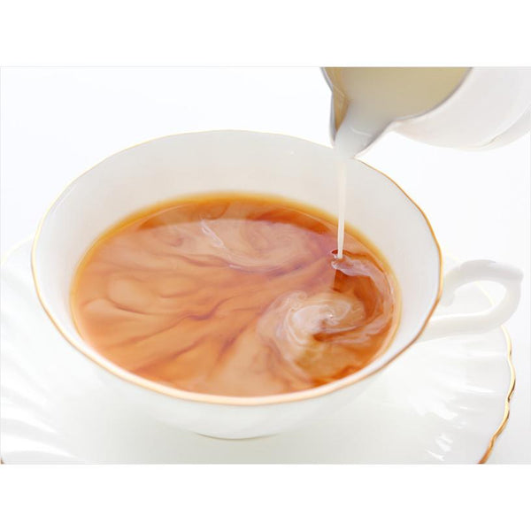 Morinaga Hagukumi Pregnancy Supplement Milk Tea Flavor 10 Servings