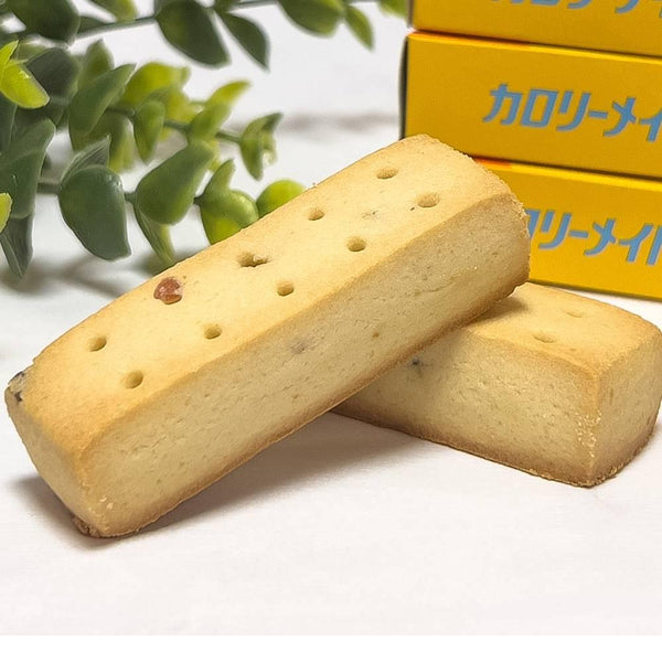 Calorie Mate Block Balanced Nutrition Food Vanilla 4 Bars