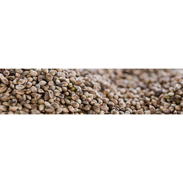 Yawataya Isogoro Shichimi Togarashi Seasoning Can 14g