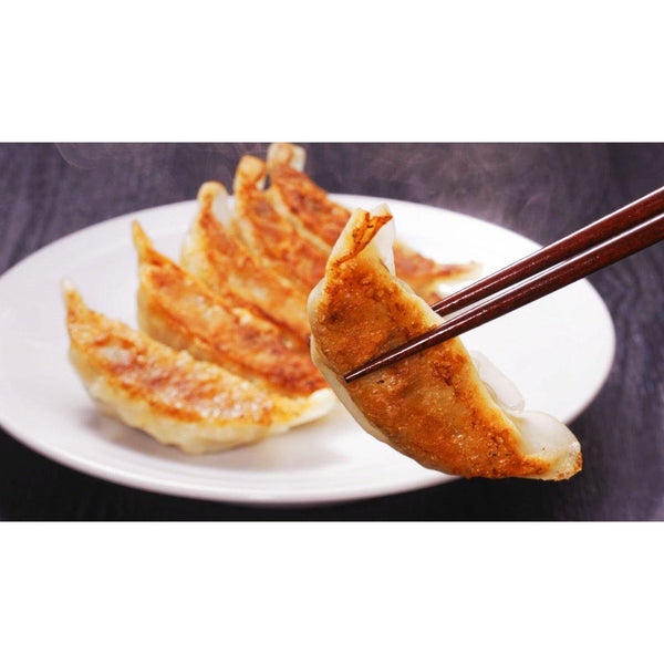 Shimomura Gyoza Shaping Mold Set (Japanese Dumplings Maker Kit)