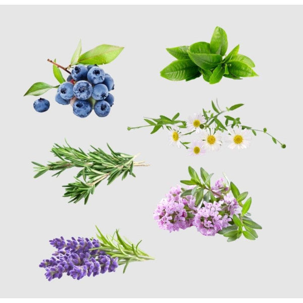 MAPUTI OFWC Organic Fragrance Cream Delicate Zone Skin Care 100ml