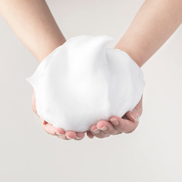 Sana Nameraka Honpo Soy Milk Isoflavone Foaming Cleanser for Normal Skin 150g