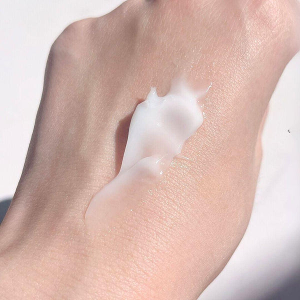 Sana Nameraka Honpo Wrinkle Night Cream Anti-Aging Face Cream 50g