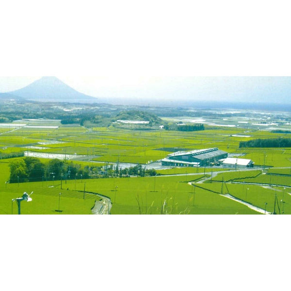 Suisouen Organic Ryokucha Catechin Green Tea Powder 40g