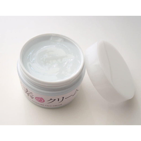 Sukoyaka Suhada Urea Moisture Face Cream Deep Hydration 60g